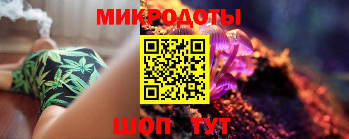 Галлюциногенные грибы Psilocybine cubensis  Вход с VPN  Лесной  Псилоцибиновые грибы Magic Shrooms 
